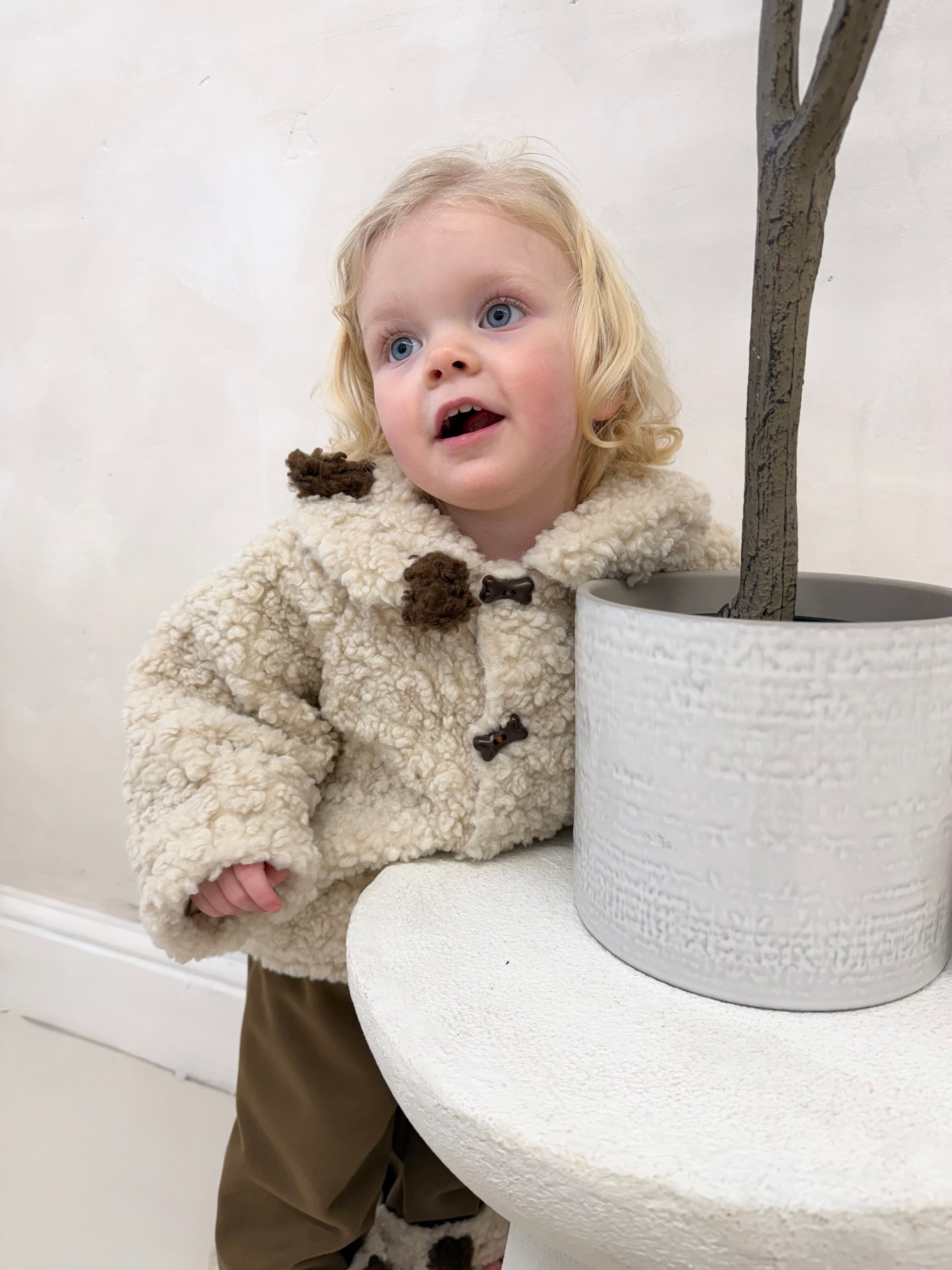 Dog & Bone Boucle Coat Set