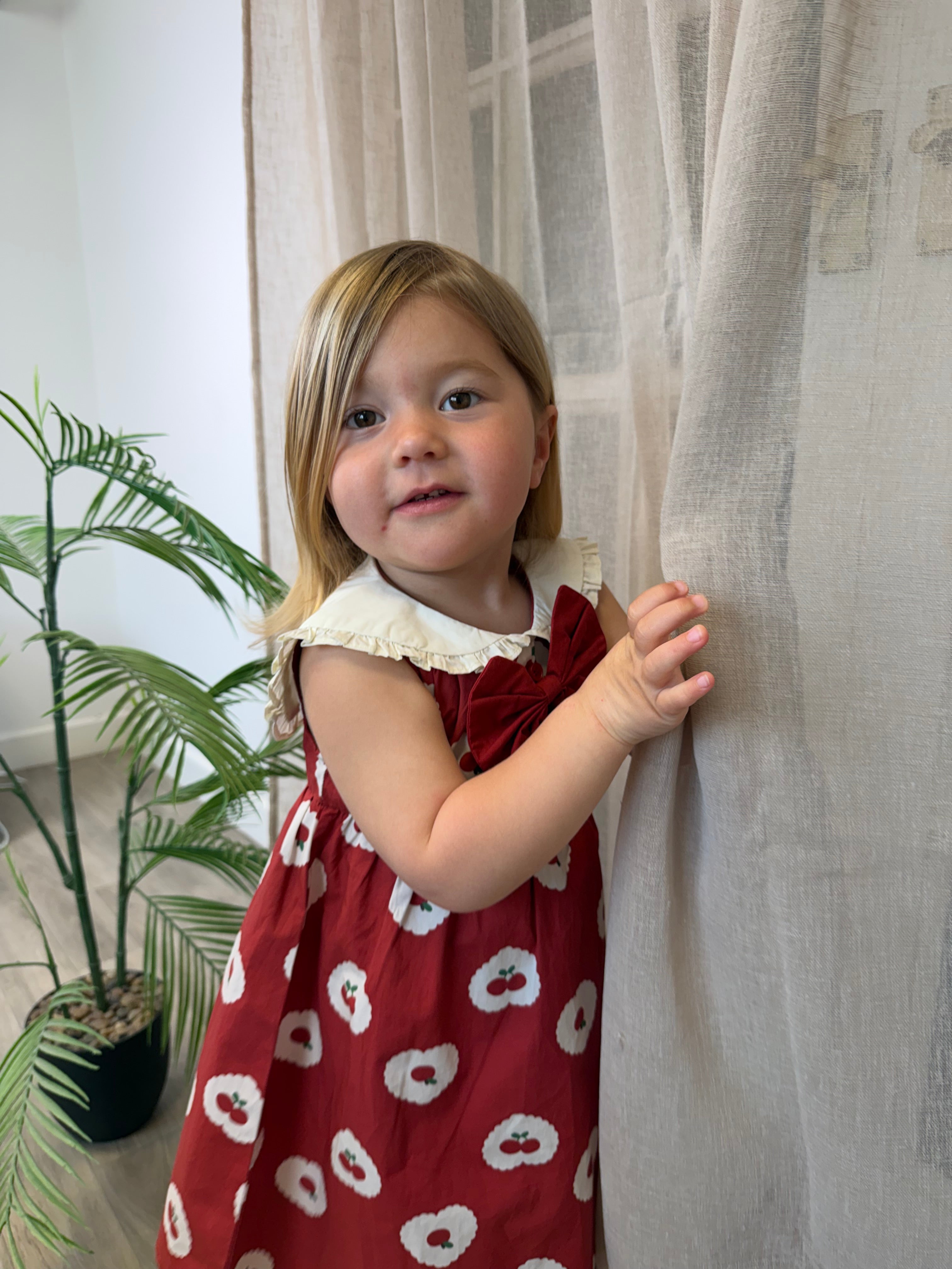 Red Cherry Dress